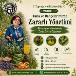 Toprağa ve Bitkilere Şifa - MODÜL 3